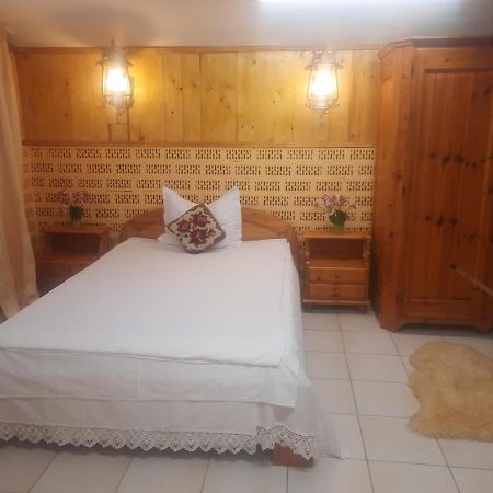 Apartament Pe Malul Raului Bega 蒂米什瓦拉 外观 照片