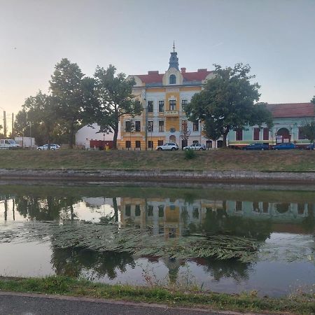 Apartament Pe Malul Raului Bega 蒂米什瓦拉 外观 照片