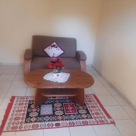 Apartament Pe Malul Raului Bega 蒂米什瓦拉 外观 照片