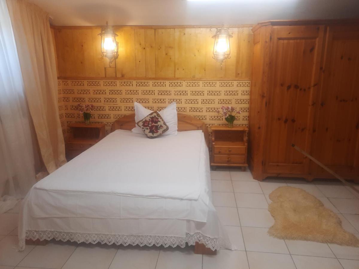 Apartament Pe Malul Raului Bega 蒂米什瓦拉 外观 照片