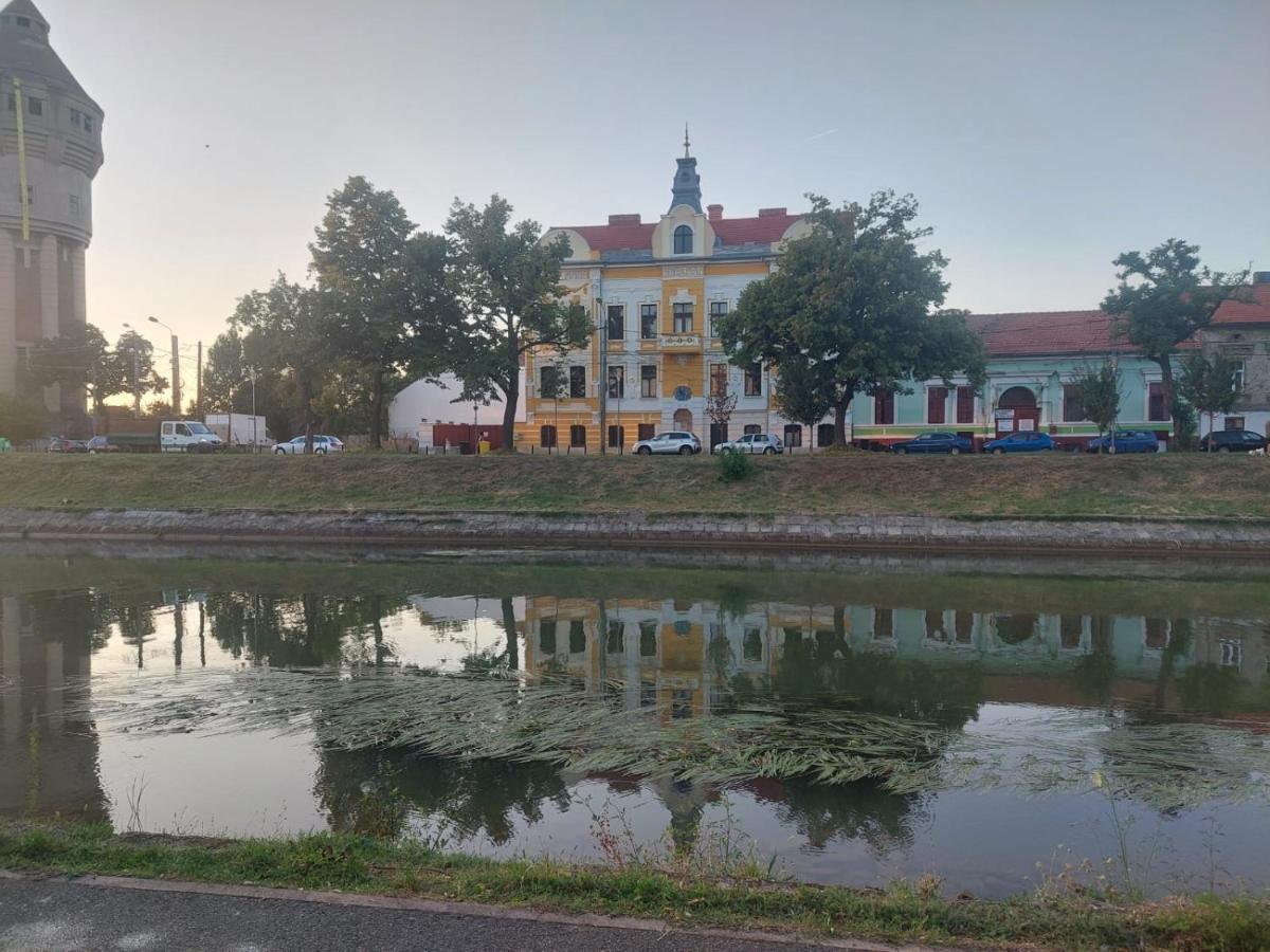 Apartament Pe Malul Raului Bega 蒂米什瓦拉 外观 照片