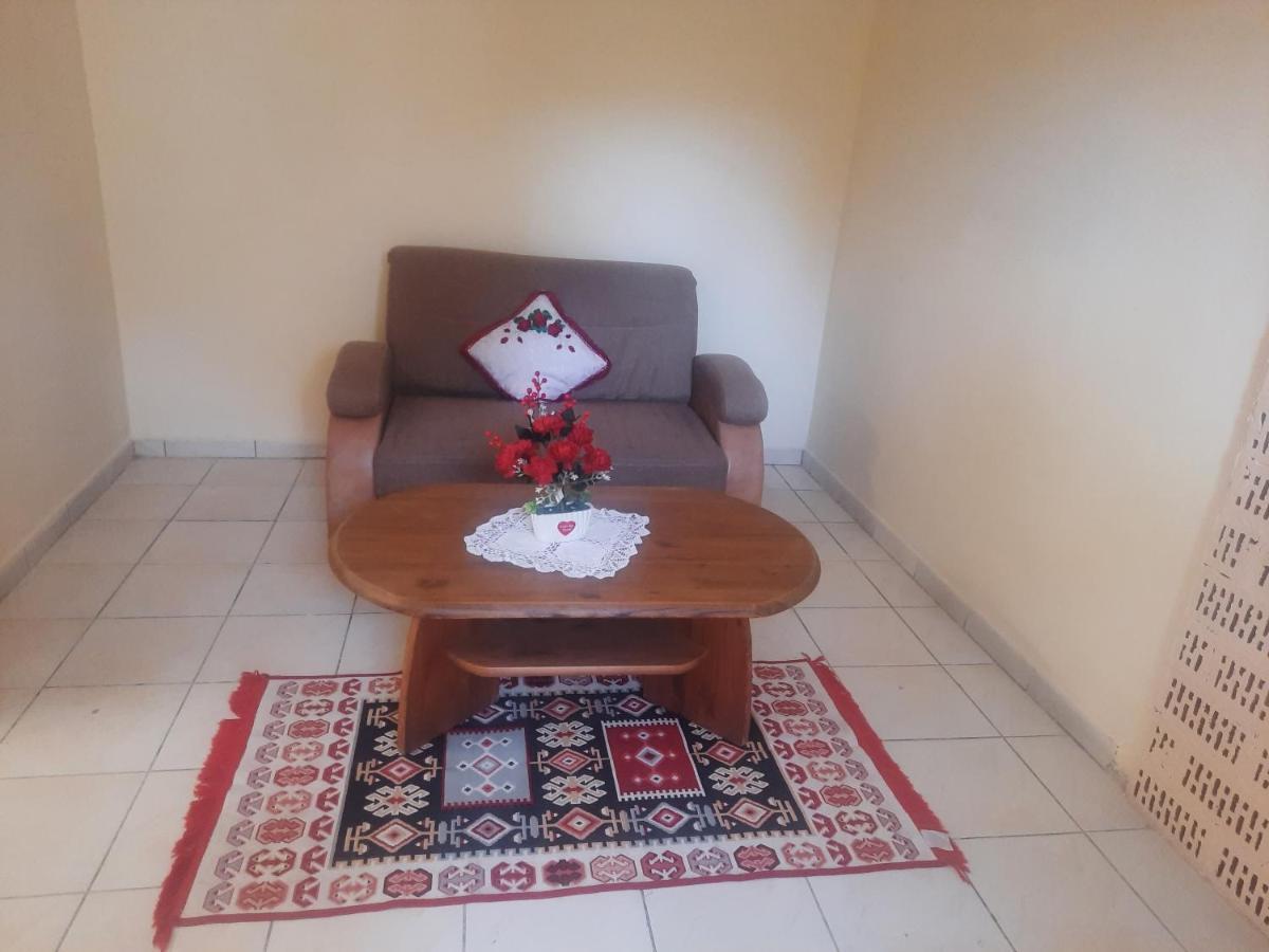 Apartament Pe Malul Raului Bega 蒂米什瓦拉 外观 照片
