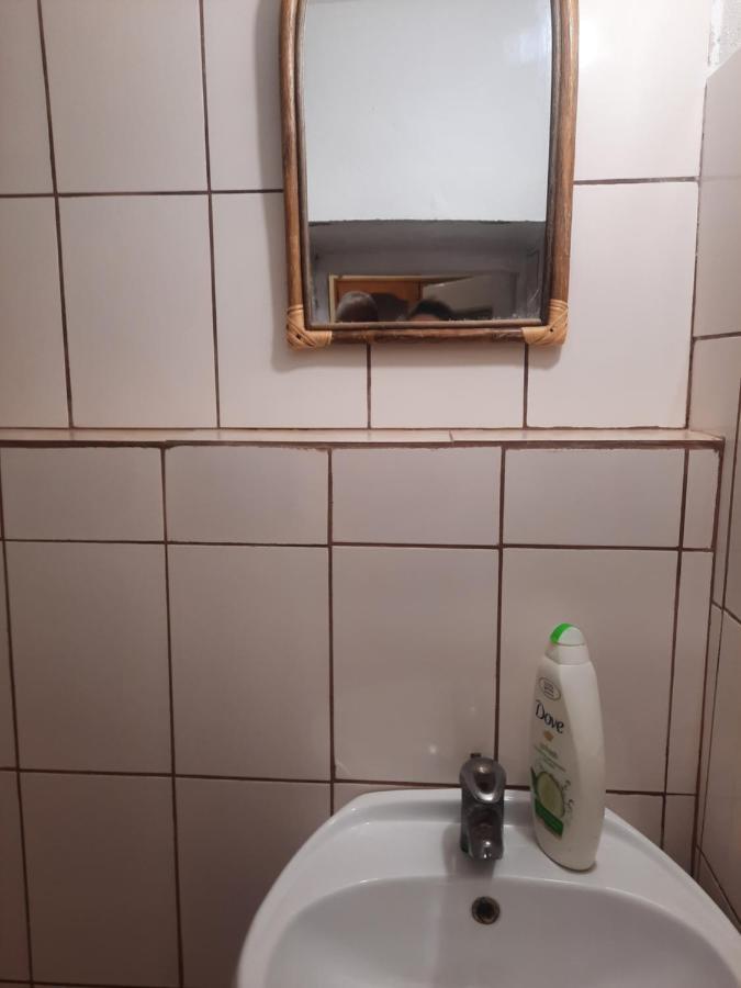 Apartament Pe Malul Raului Bega 蒂米什瓦拉 外观 照片