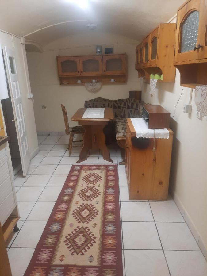 Apartament Pe Malul Raului Bega 蒂米什瓦拉 外观 照片
