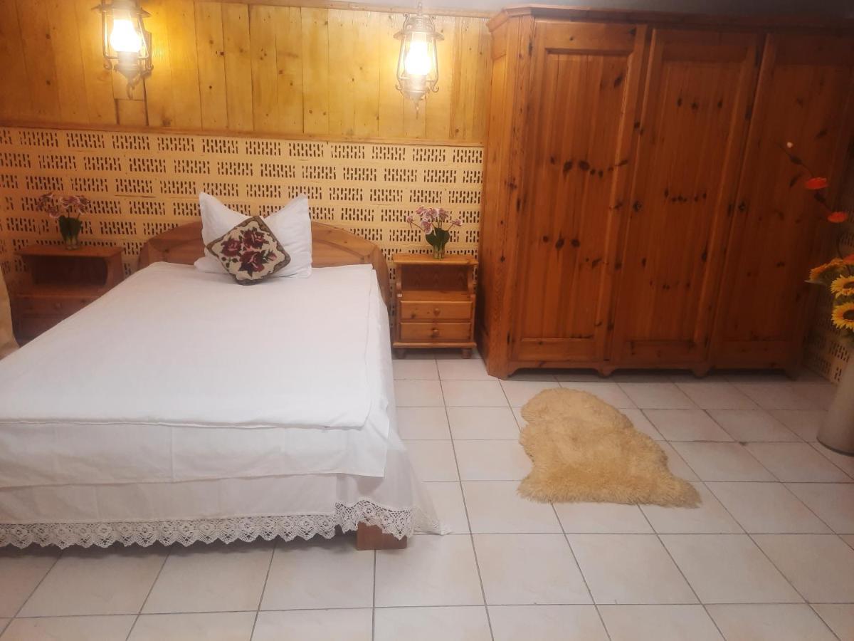 Apartament Pe Malul Raului Bega 蒂米什瓦拉 外观 照片